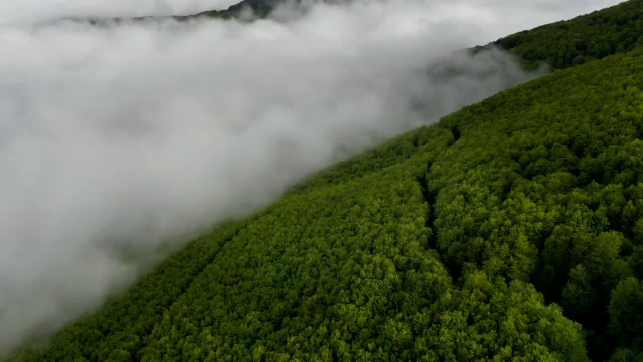 Бузлуджа, заснет с дрон