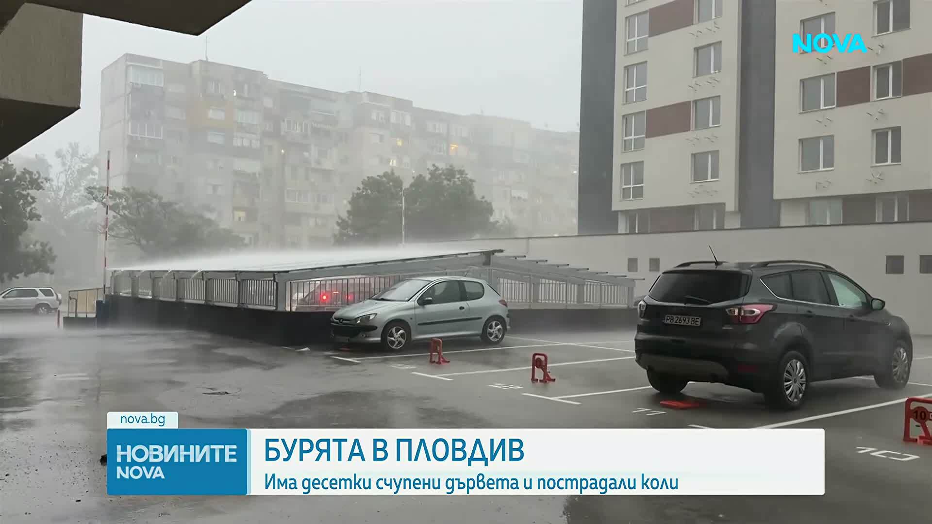 Проливен дъжд и буря наводниха улици и събориха дървета в Пловдив