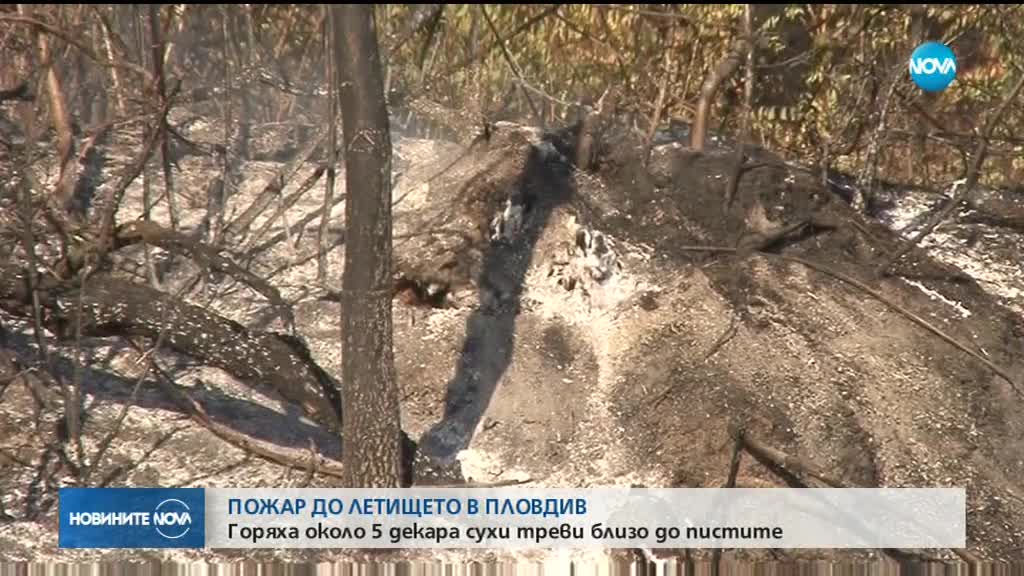 Голям пожар избухна в района на Летище Пловдив