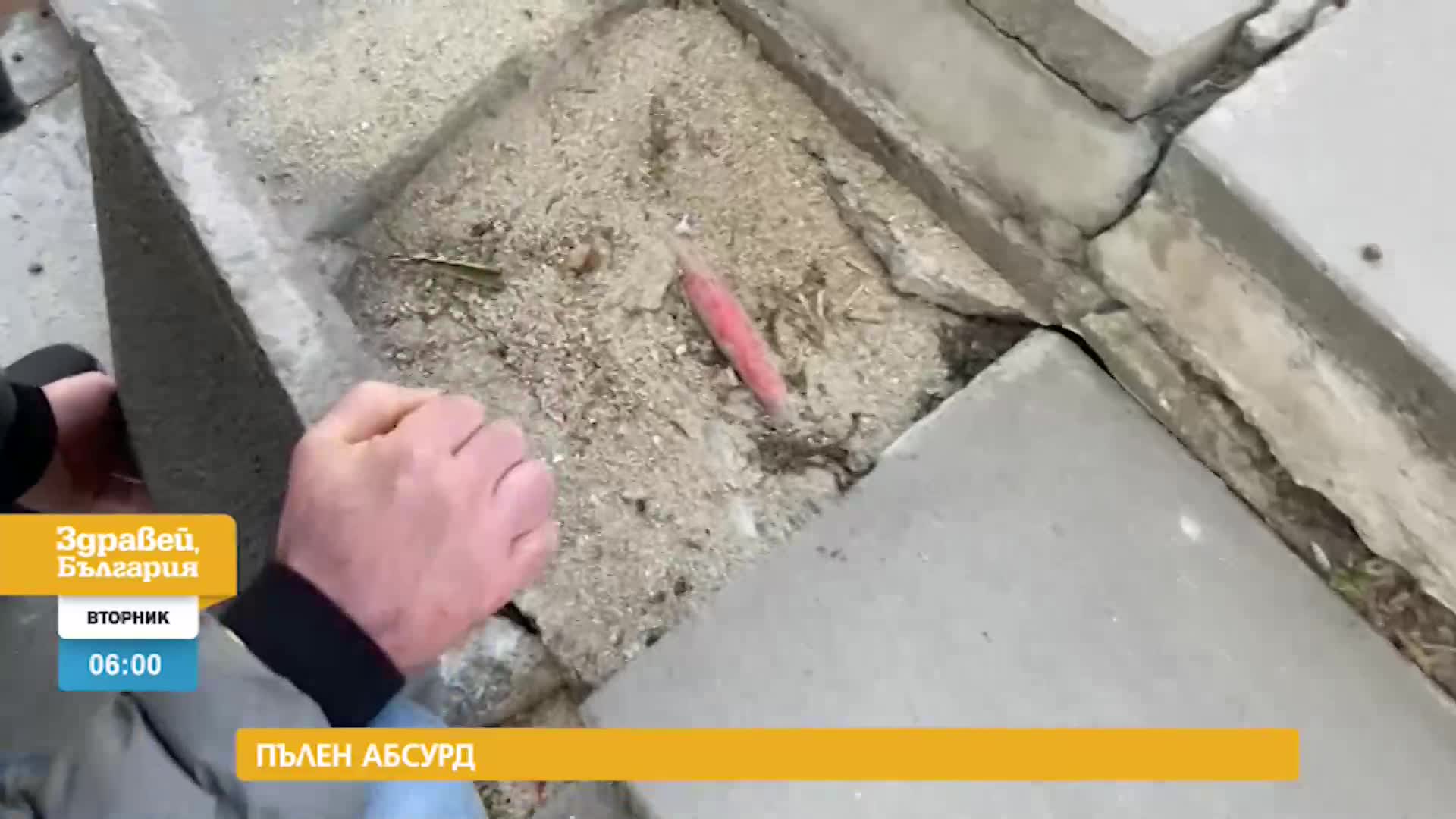 В „Здравей, България” на 29 март очаквайте
