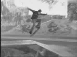 Element Skate Team