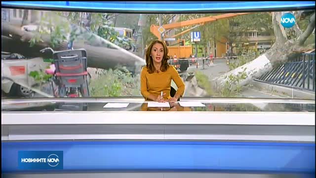 Новините на NOVA (06.10.2017 - късна)