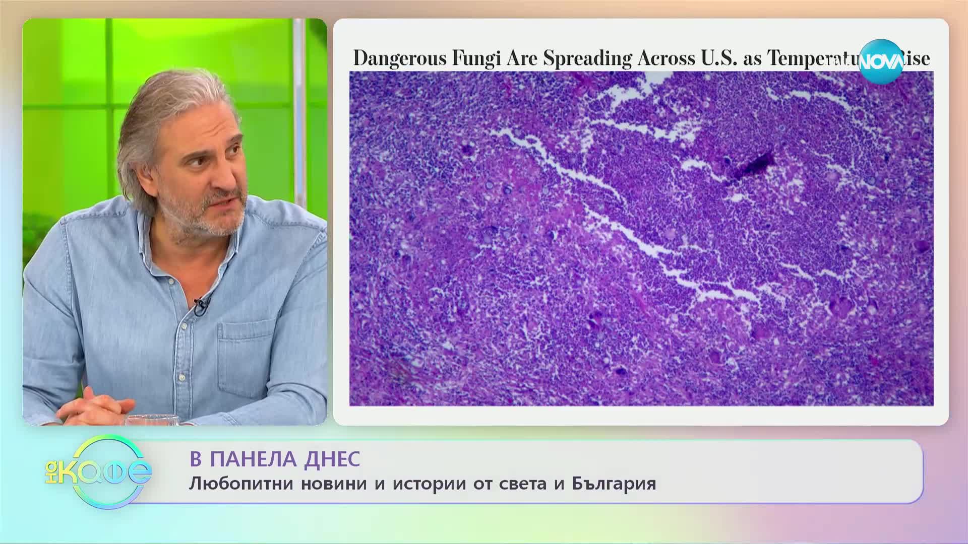Опасни гъбички се разпространяват щом температурите се вдигнат