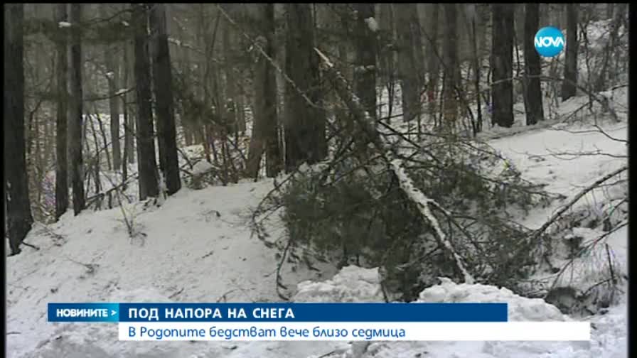 Новините на Нова (12.03.2015 - късна)