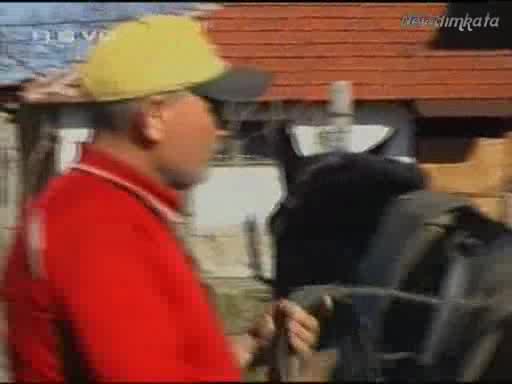 Мъжът С Отрязаното Мъжко Достойнство(1част)