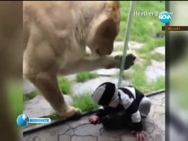 Най-гледаният kлип в Интернет