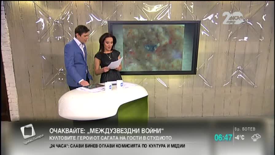 „Моята новина”: Фурми с червеи