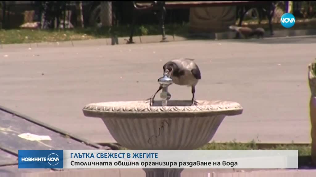 В София раздават минерална вода заради жегите (ВИДЕО)