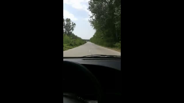 "Моята новина": Джунгла