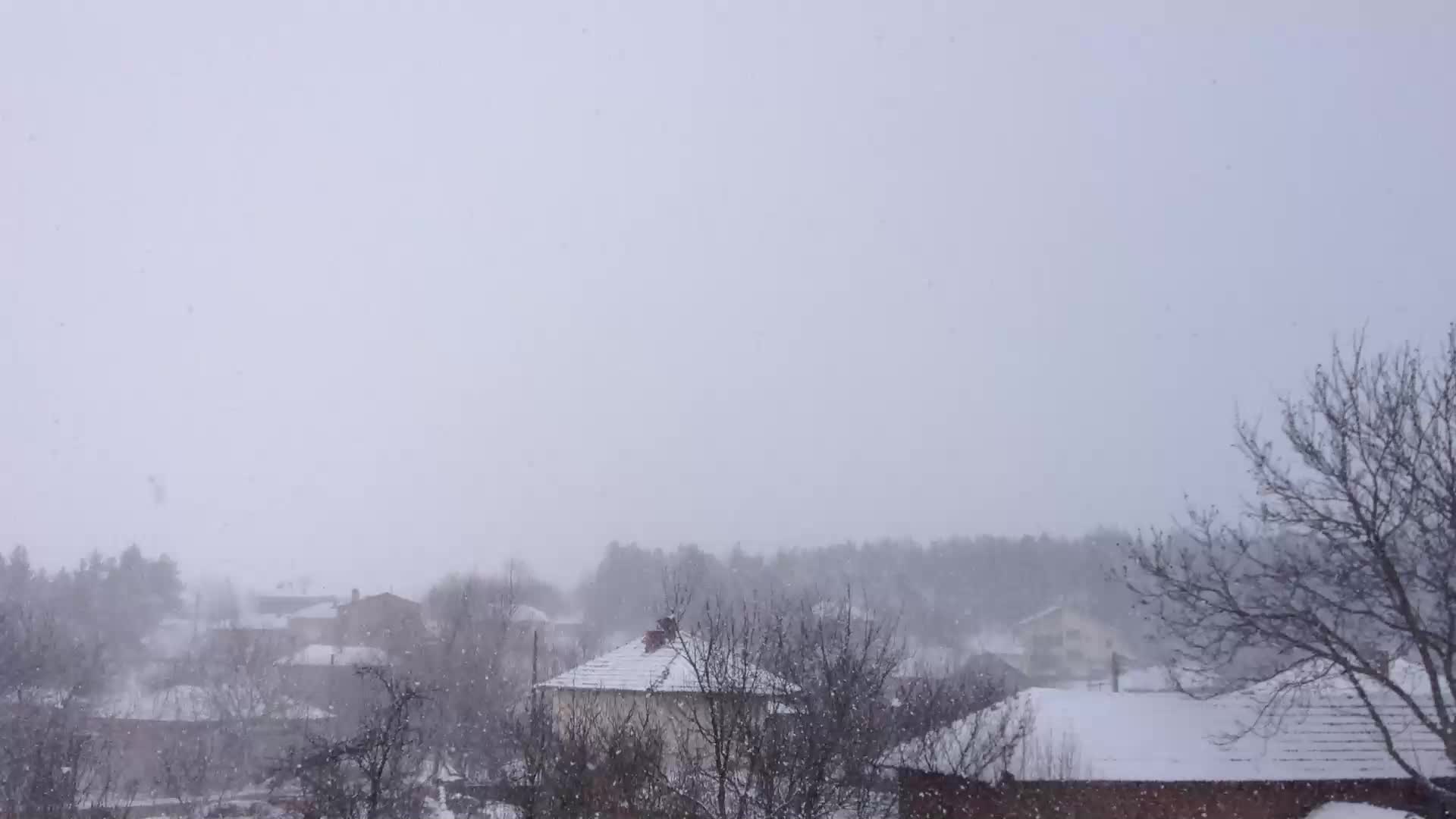 Обилен снеговалеж в с. Згалево, Плевенско