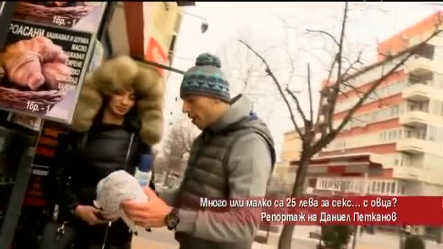 Лудия репортер - много или малко са 25 лева за секс… с овца?