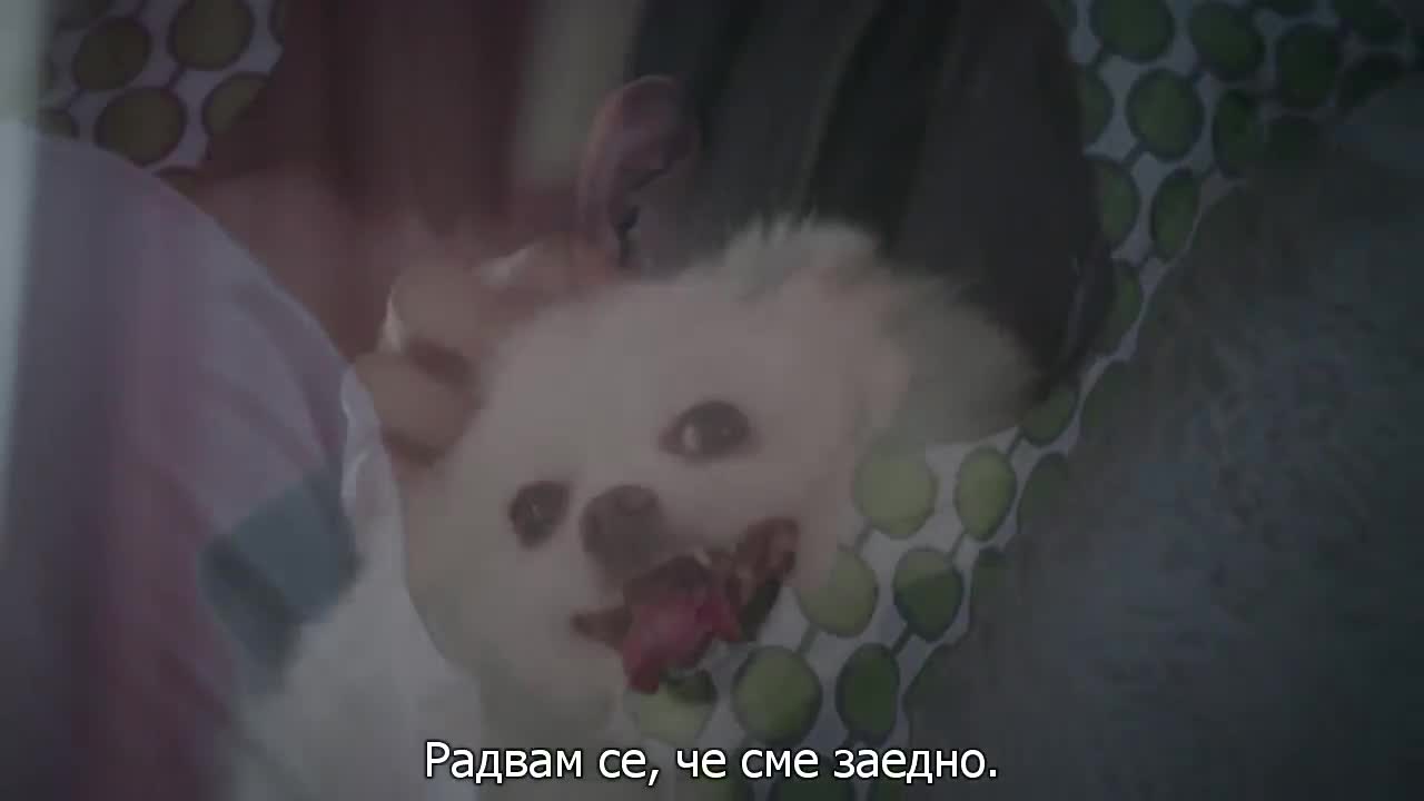 Сряда 15 30ч E06