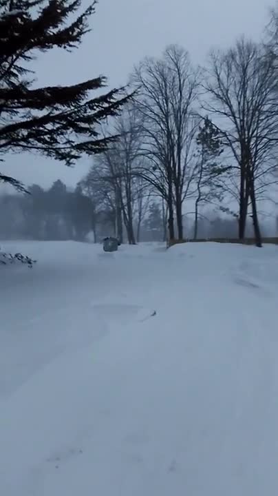Снежно