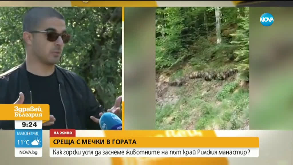 Какво означава появата на мечка с нейните малки в близост до хората?