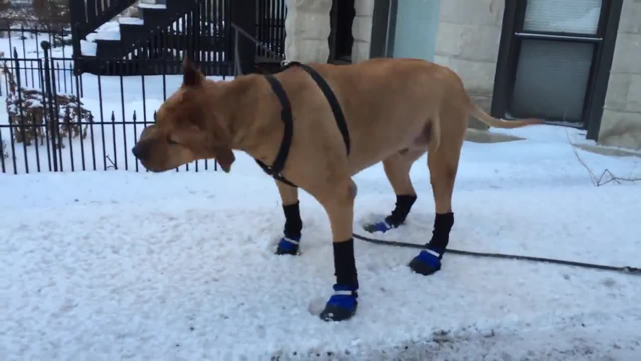 Причината да закъснея за работа днес ...