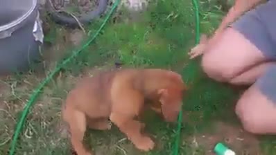 Как изглежда един ученик рано сутрин