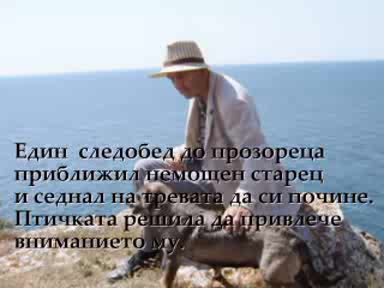 Недовършена притча за щастието...