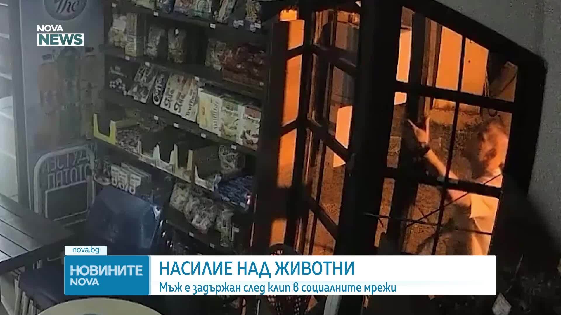 Задържаха мъж заради проверка за изтезаване на животни във Варна