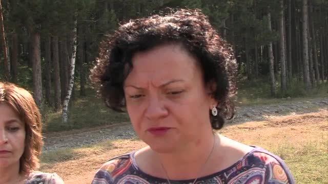 Шест диви птици полетяха в небето над София