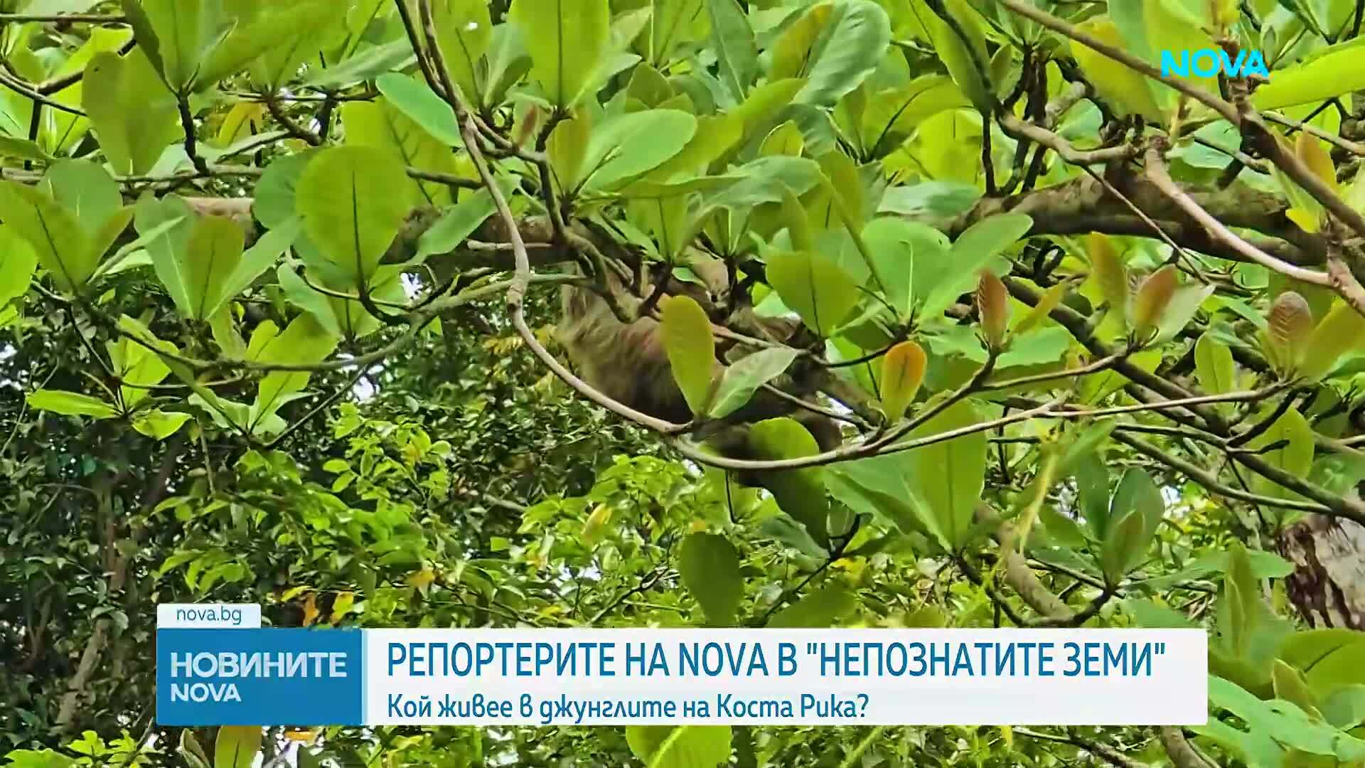 "Непознатите земи": Кой живее в джунглите на Коста Рика