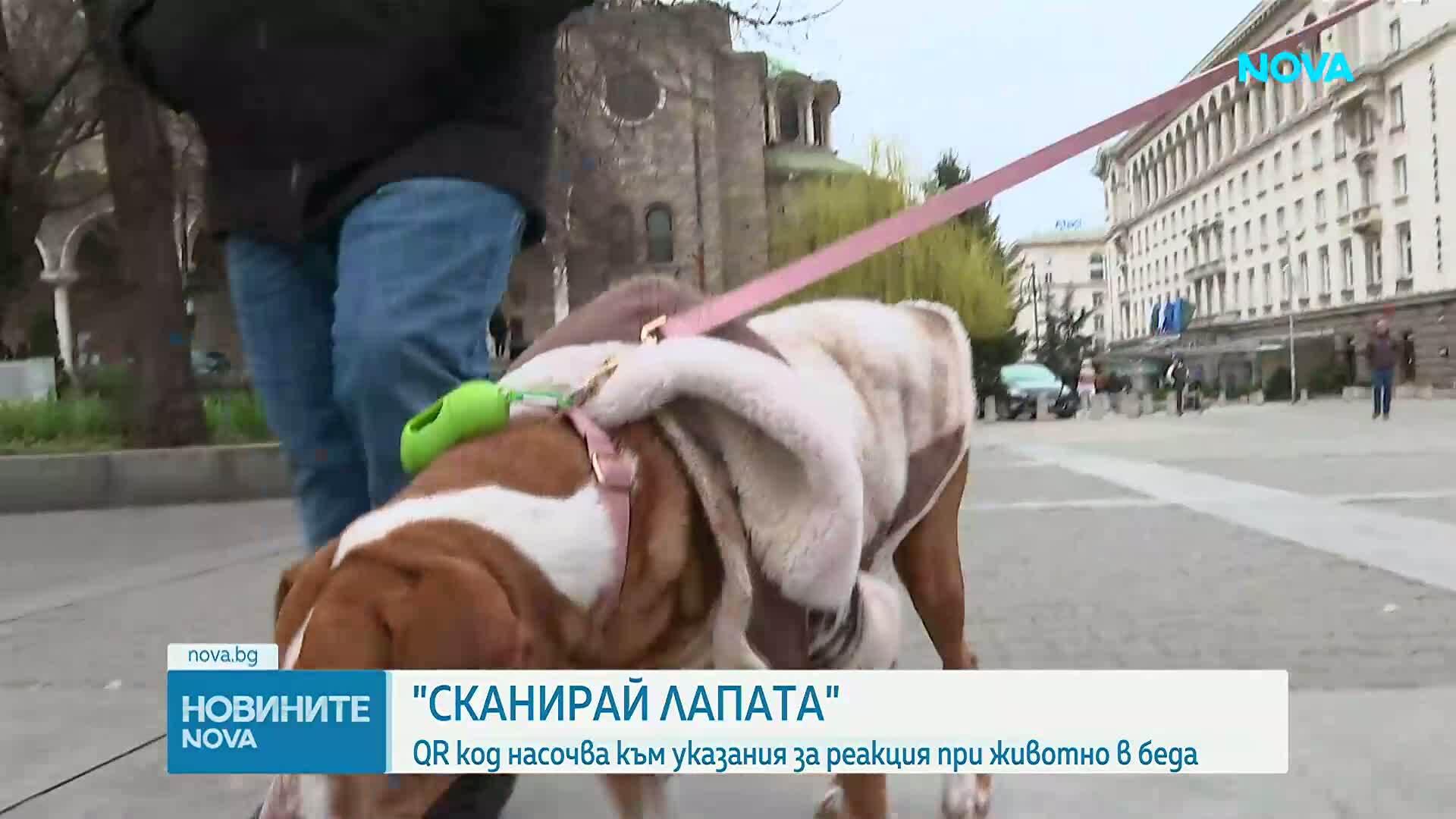 „Сканирай лапата“: QR код насочва към онлайн платформа с указания как да се реагира при животно в беда