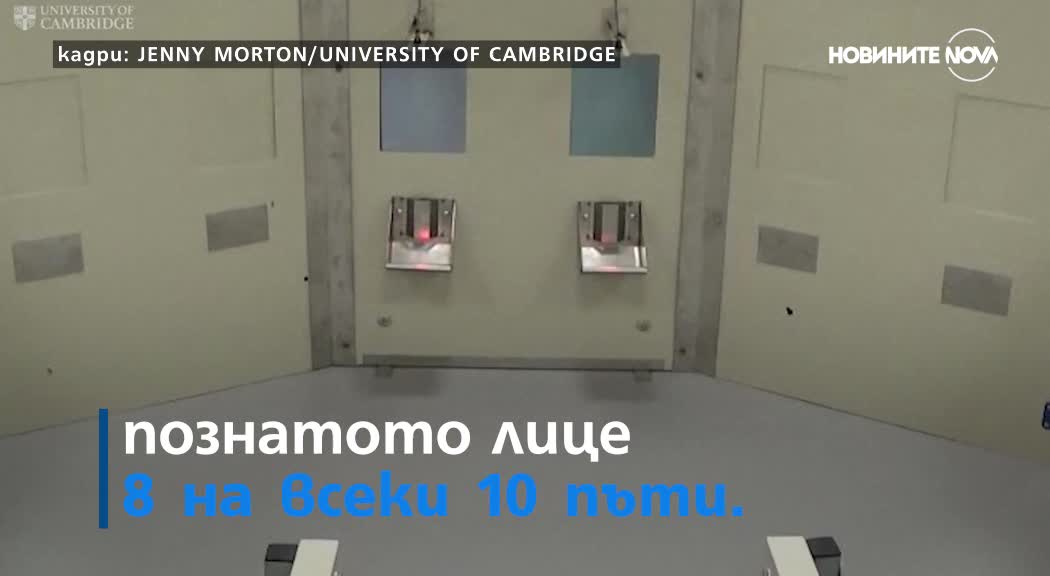 Овце разпознават образа на Барак Обама