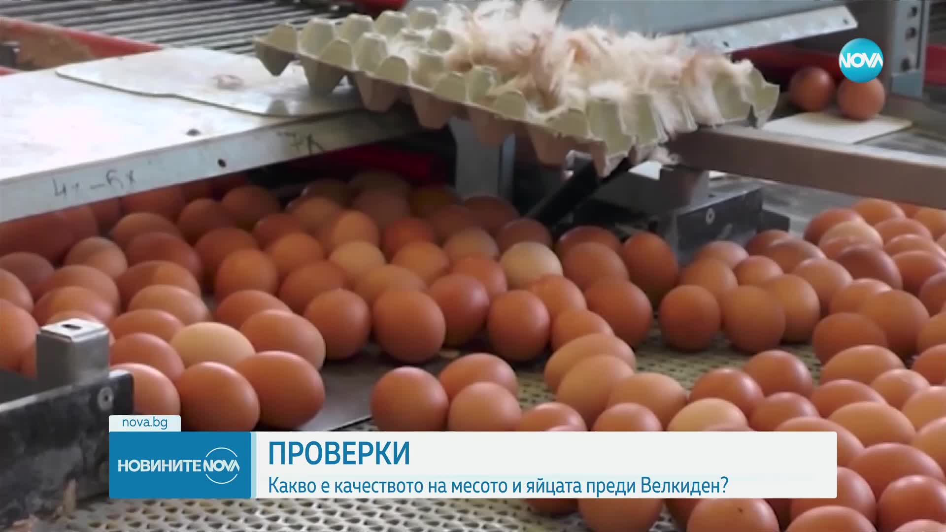 Новините на NOVA (06.04.2023 - 7.00)