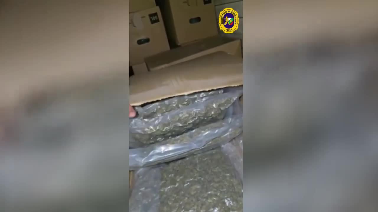 Удар на ГДБОП: Спипаха контрабанда на 400 кг марихуана за над 4 млн. евро