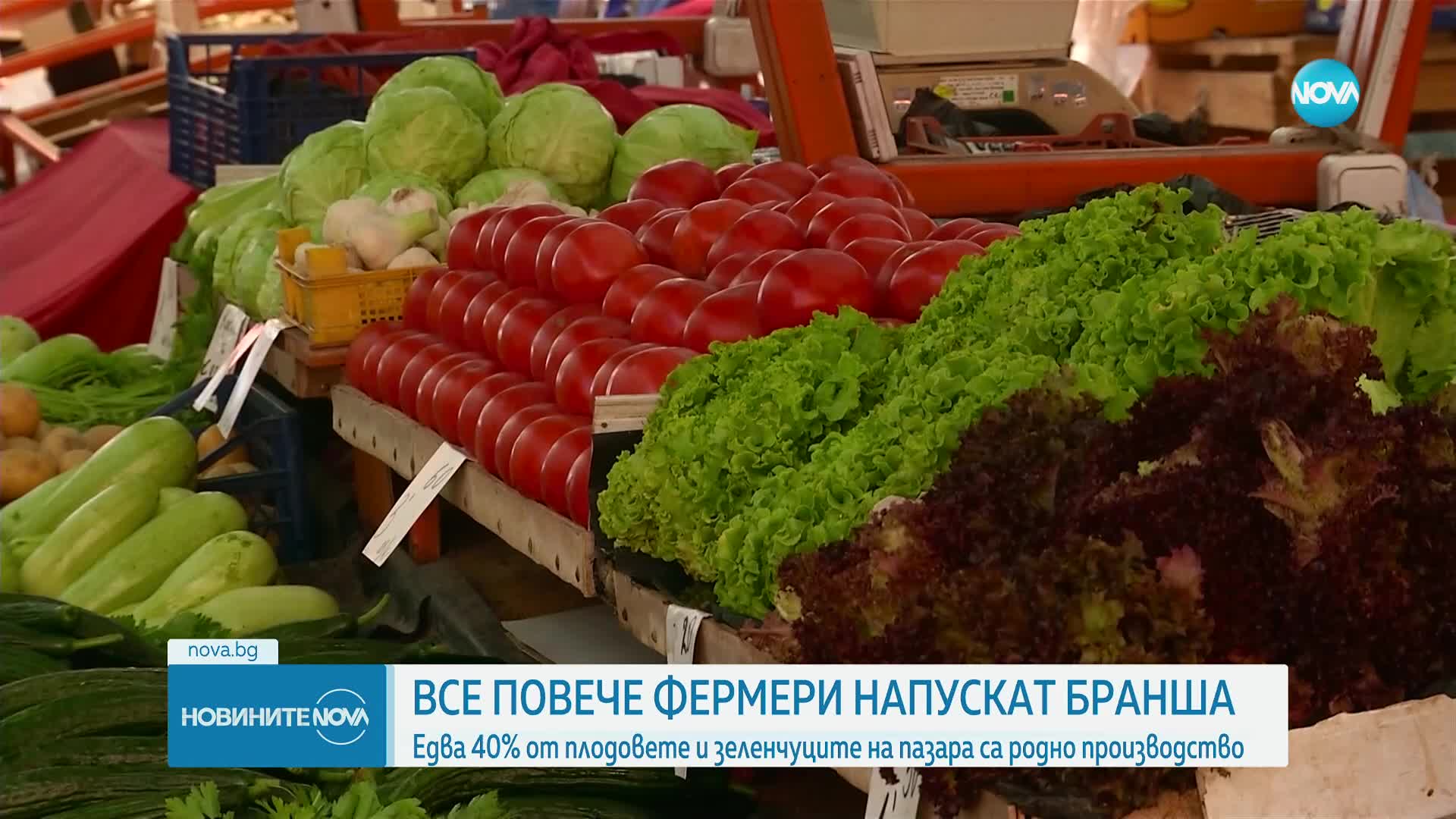 Земеделският министър: Производителите на зеленчуци трябва да се кооперират