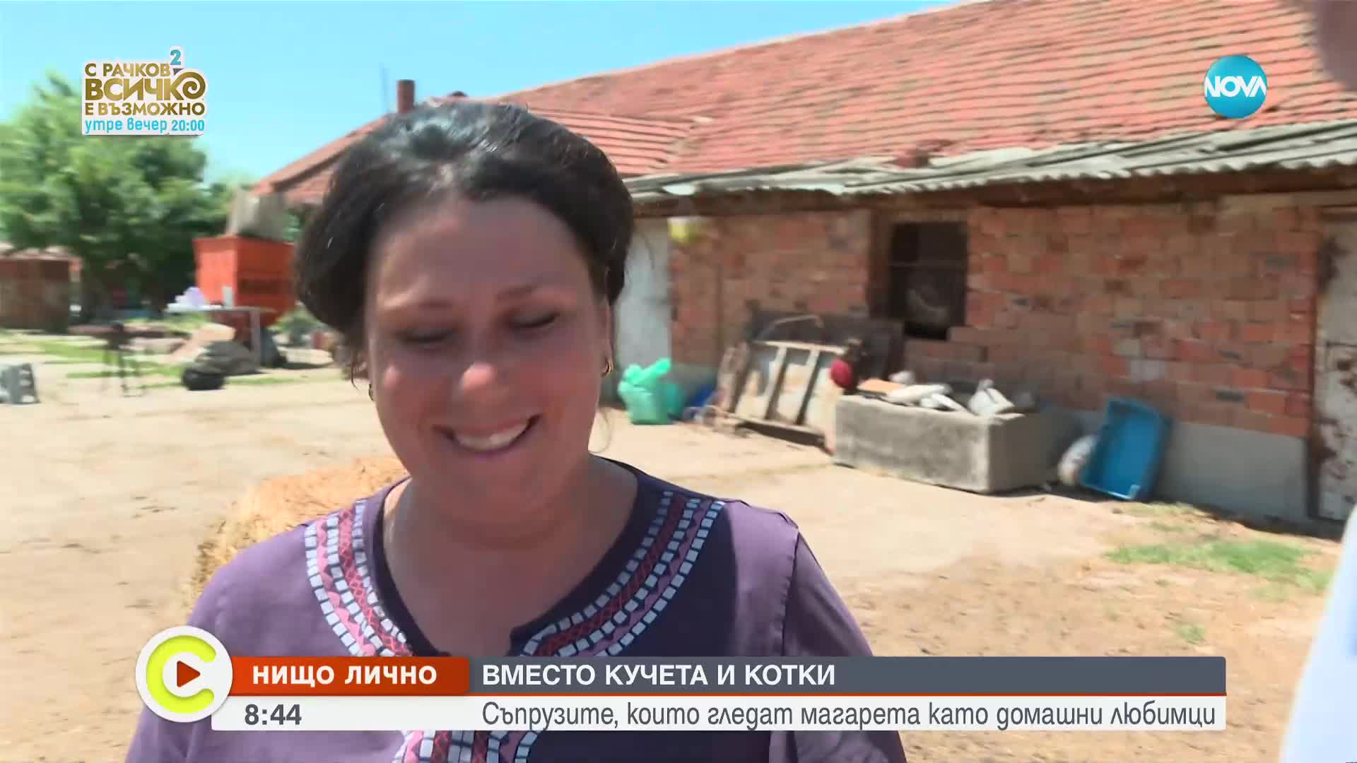 „Нищо лично”: Съпрузите, които отглеждат магарета като домашни любимци