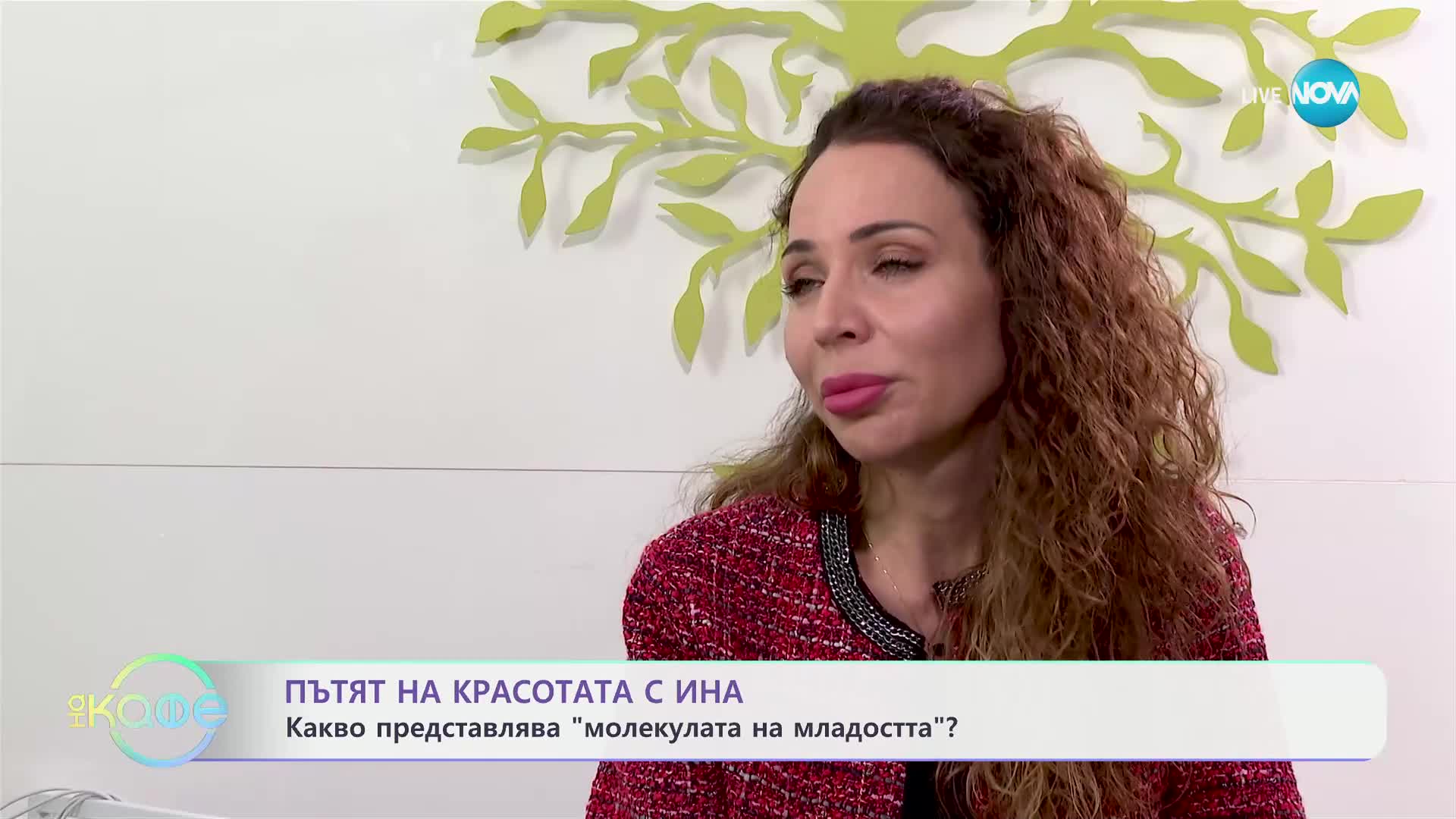 Пътят на красотата с Ина: Дълголетие и биохакинг - „На кафе“ (14.10.2024)