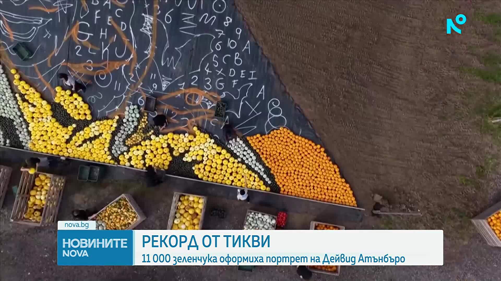 Британска ферма подобри световен рекорд с портрет на Дейвид Атънбъро