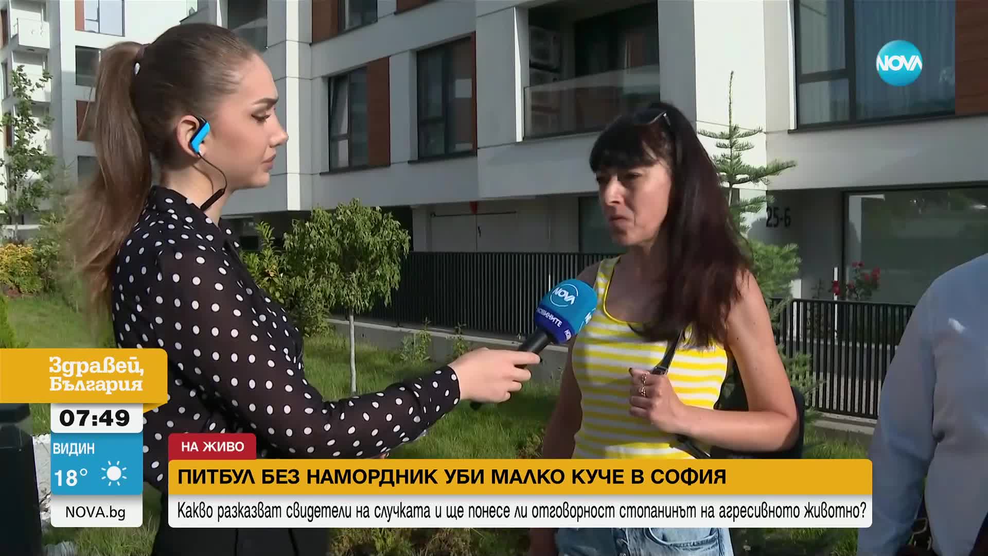 Нападение от питбул в столичен квартал