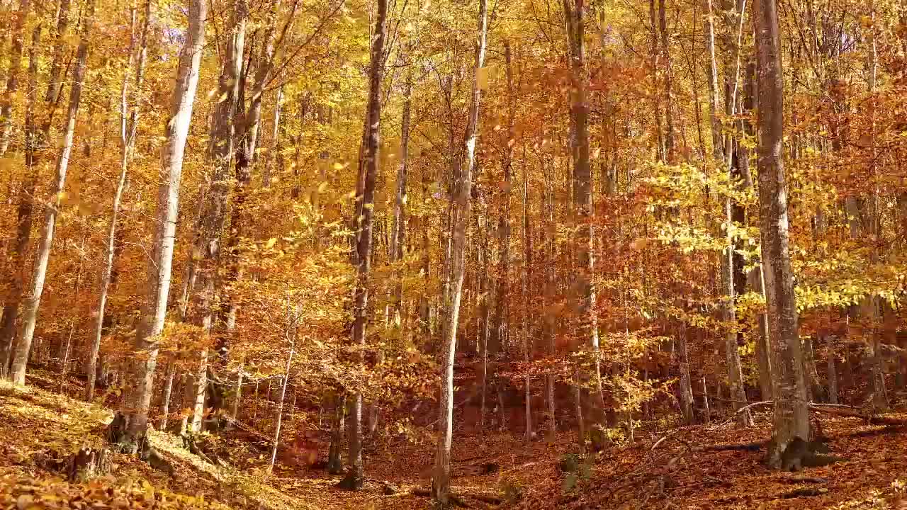 Есен