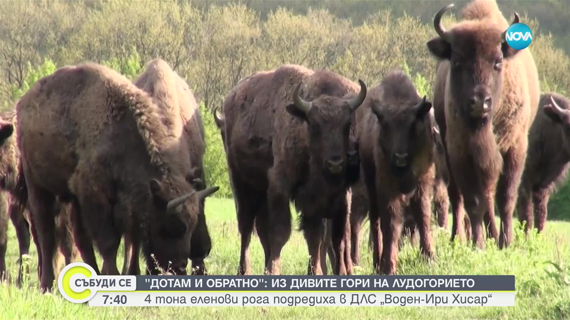 Секс дар душанбе - Уз, узб, узбек секс порно видео