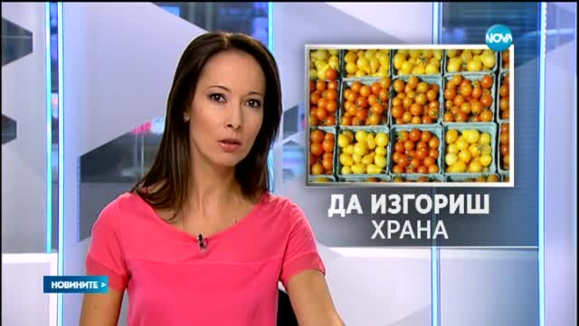Новините на Нова (07.08.2015 - обедна)