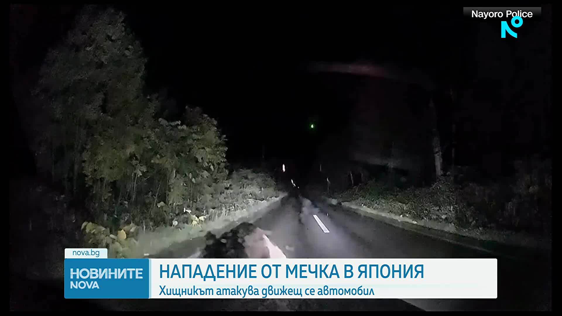 Мечка в Япония атакува движещ се автомобил