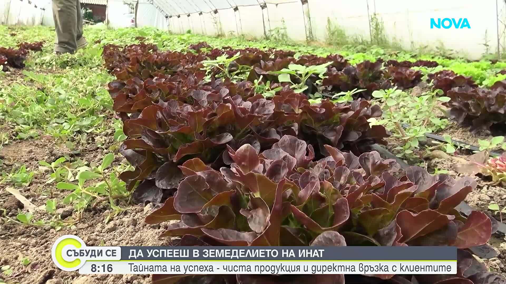Да успееш в земеделието: Тайната на семейство Джумерски