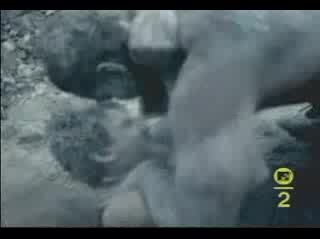 Smashing Pumpkins - Bullet With Butterfly 