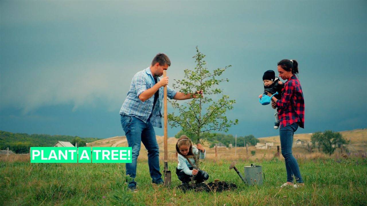 The fastest way to save the planet