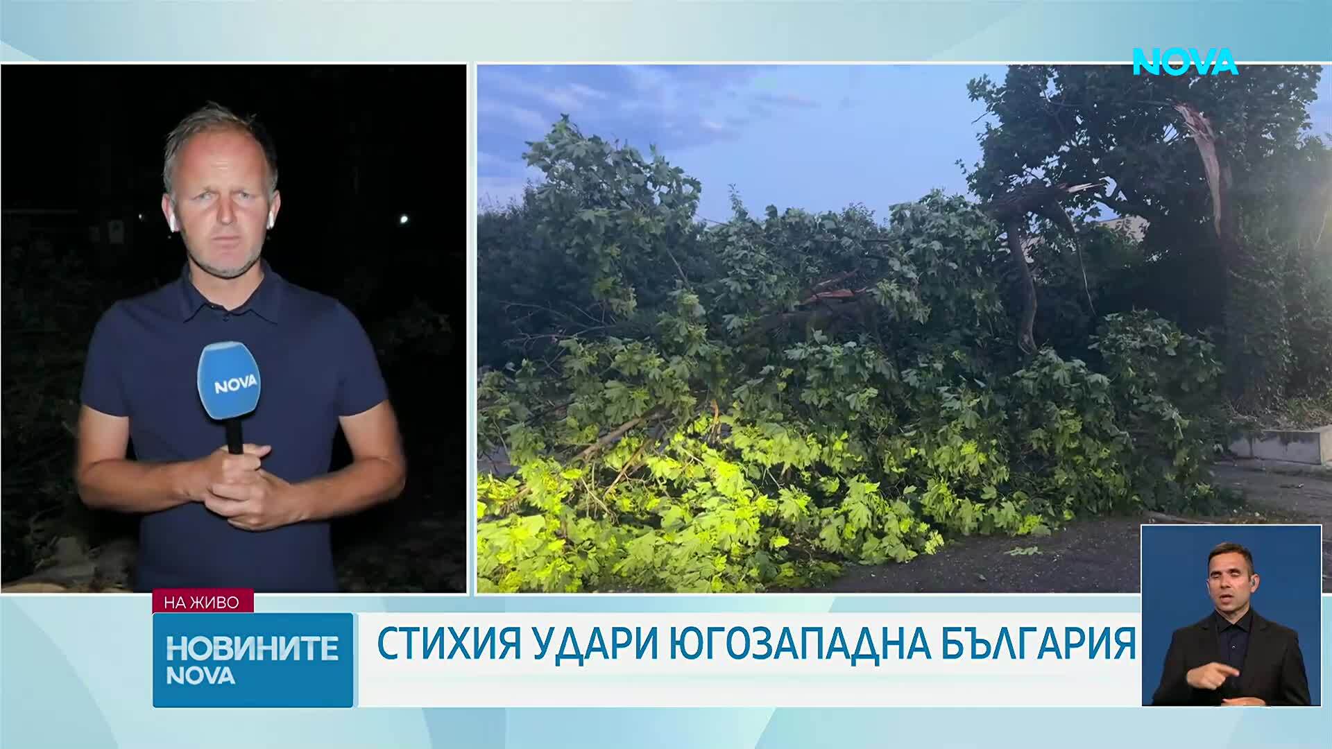 Бури, ураганен вятър и пожари: Благоевградско се възстановява след стихията