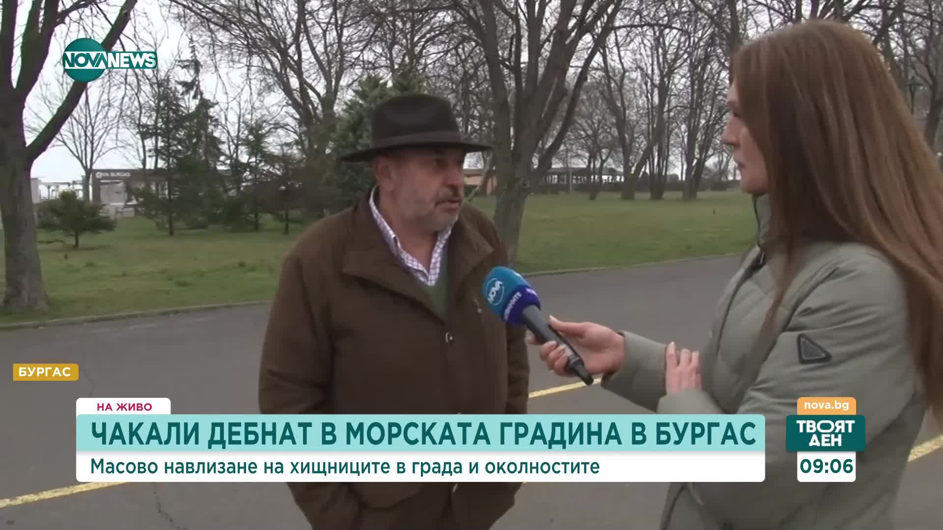 Хищници в града: Чакали "дебнат" в Морската градина в Бургас