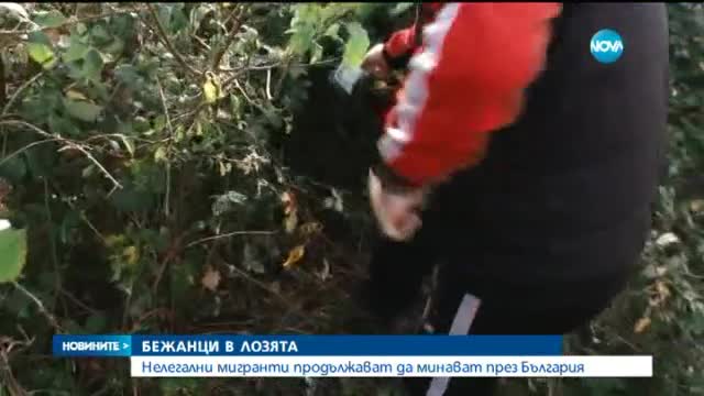 Новините на Нова (16.11.2015 - късна)