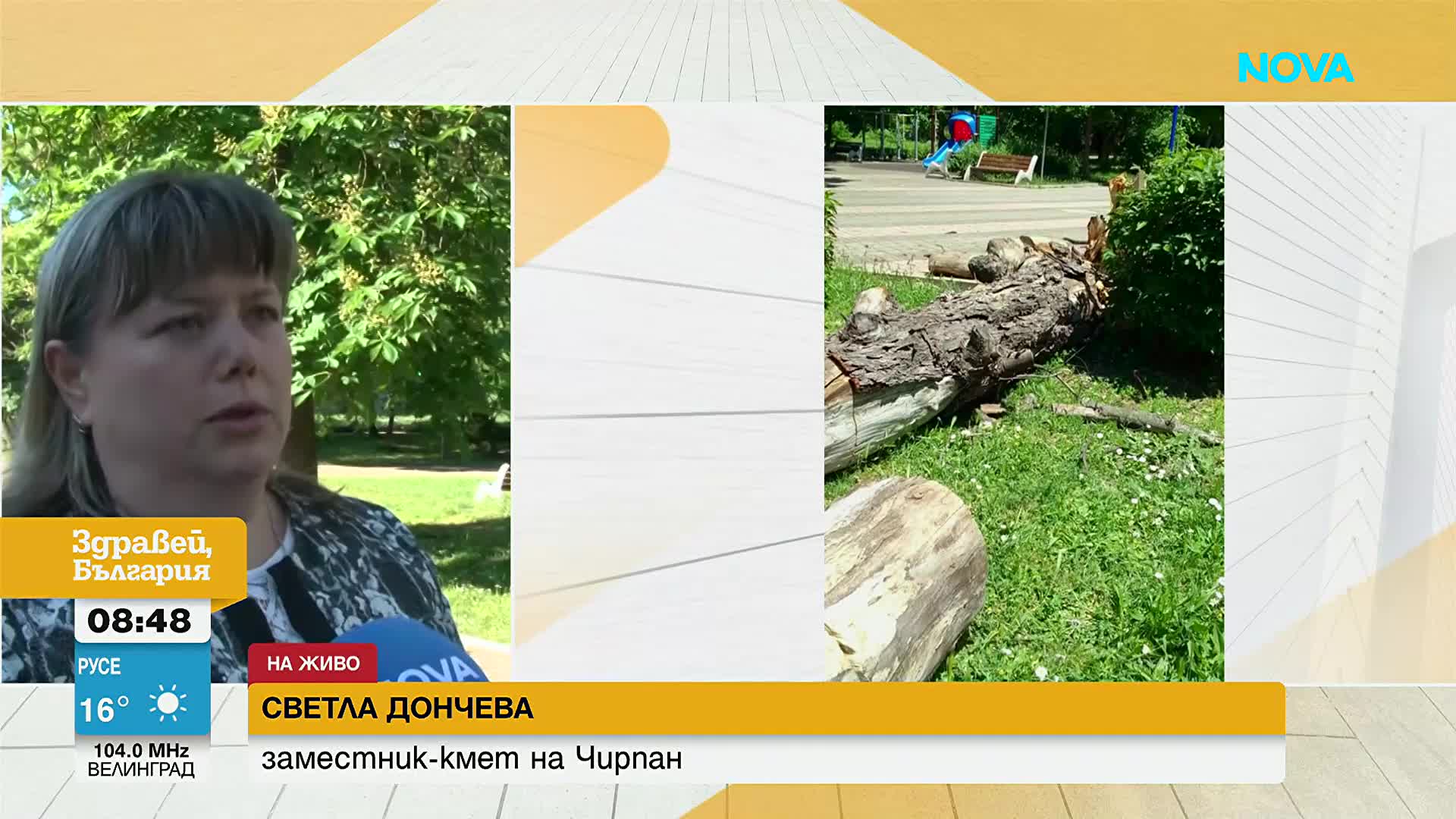 "Дървото падна от нищото, разлетяха се и стършели": Говори майката, чието дете се размина на косъм