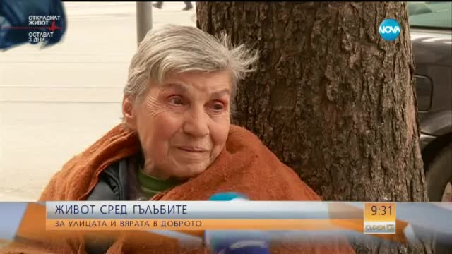 Живот сред гълъбите - историята на Величка Коцева