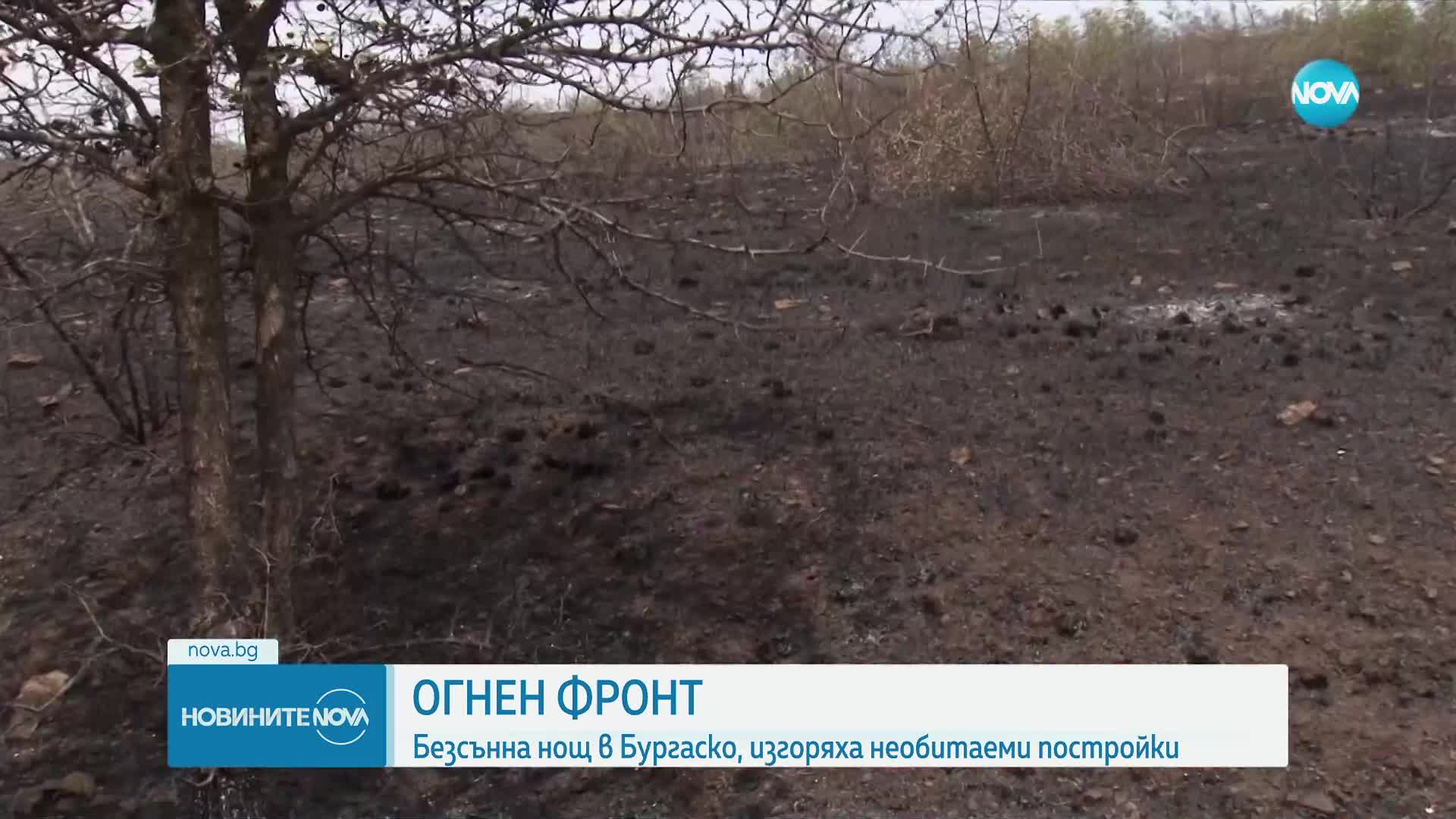 Пожарът в Бургаско е локализиран