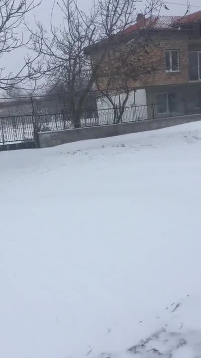 "Моята новина": Бедствено положение в село Калиманци