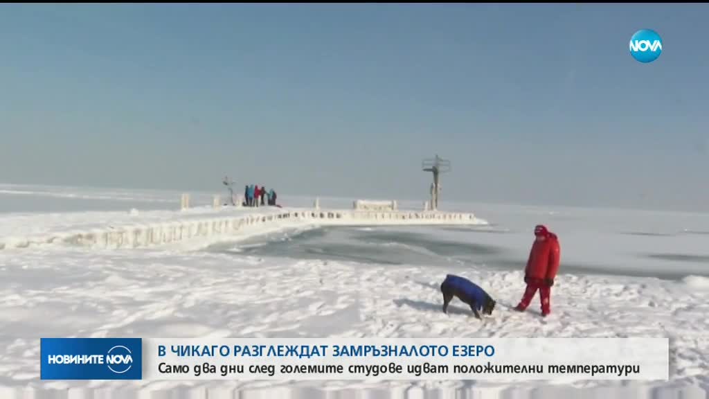 Студът създаде изящни ледени скулптури в езерото Мичиган