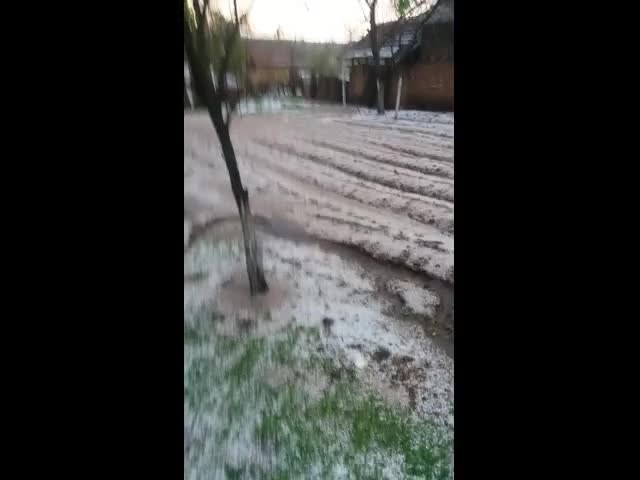 "Моята новина": Градушка в Плевенско