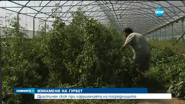 Новините на Нова (13.06.2015 - централна)